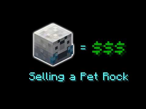 Selling A Pet Rock Hypixel Skyblock