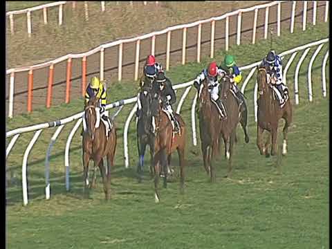 Galoppo 13/01/2018 - 1ª corsa