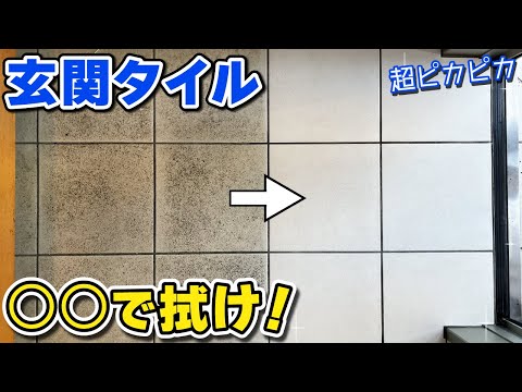 garde-corps-terrasse-acier-inoxydable-plantes