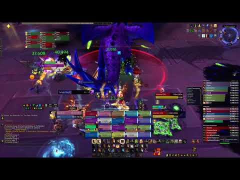 Vexiona Ny'alotha Raid Mythic Guild Epic Wipe - Ragnaros holy paladin pov