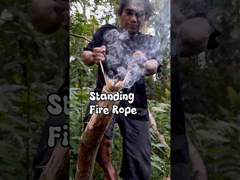 Friction fire rope, following the position of the wood #primitivefirelighting #bushcraft