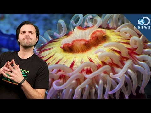 YouTube video about: What two ingredients make estuaries suitable for plants and animals?