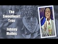 The Sweetheart Tree -  Johnny Mathis