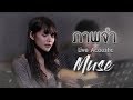 ภาพจำ มิ้วส์ อรภัสญาน์ Live Acoustic