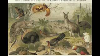 The Raga Dolls play 'Kelly's Lament' by David R Osborne