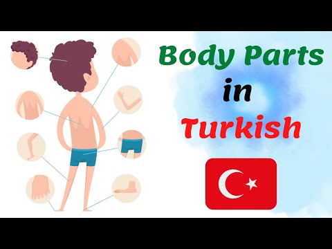 Body Parts in Turkish | Learn Turkish Body Parts | Animated
