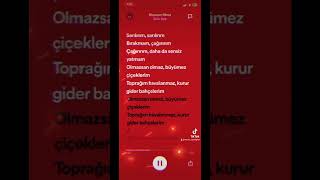 Güliz ayla Olmazsan olmaz