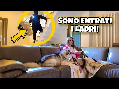 SONO ENTRATI I LADRI IN CASA...  😱🚨 | MARTY E YUKO