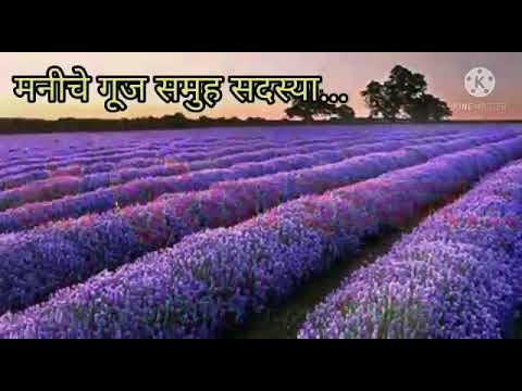 Dr. Surekha Itkar Madam... Happy Birthday...