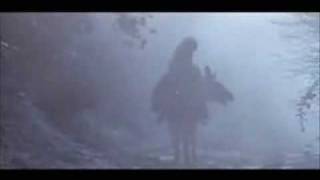 Silver Jews - Random Rules