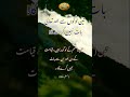 Shorts 3 Logo Se Allah Ta Ala Baat Nahi Karega Hadees Sharif Hadees Shareef Hadees Nabvi Islam314