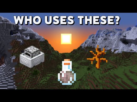 Minecraft FEATURES nobody uses