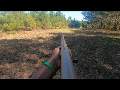 SC Deer Hunting With Dogs 2025 “Quick Double Up”  Two Kill Shots On Camera