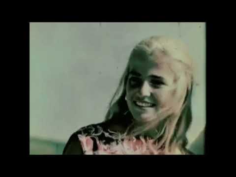 The Fade Beta - The Silence