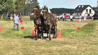 preview picture of video 'KMM Liga Zaprzęgowa - Wielgie - Wojciech Soborski p 2'