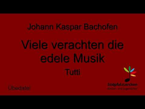 Bachofen - Viele verachten die edele Musik - Tutti