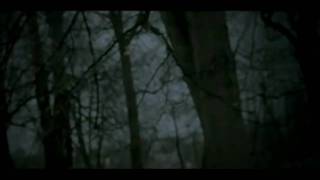 Dolores O'Riordan - Ordinary Day