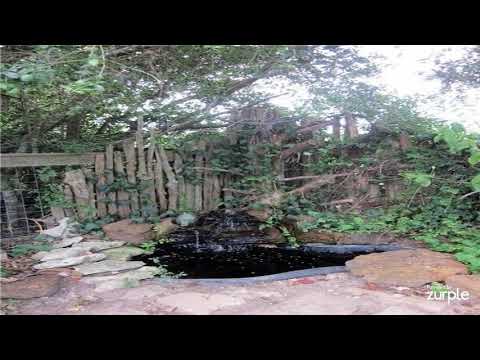 1560 Longhorn, Harwood, TX, 78632