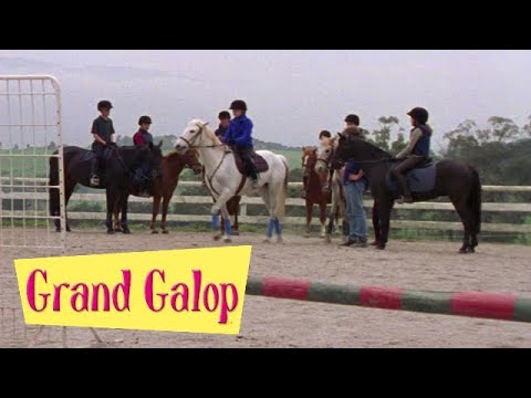 Grand Galop 111 - L'Apprentissage de la vie (Partie 2) | HD | Épisode Complet