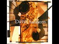 David Sanborn — Neither One Of Us