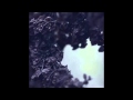 Nebelung - Aufgang 