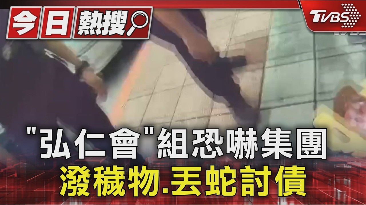 「弘仁會」組恐嚇集團 潑穢物.丟蛇討債｜TVBS新聞 @TVBSNEWS01