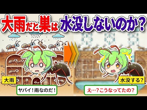 影響を与える要因