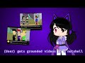 User Gets Grounded Videos In A Nutshell