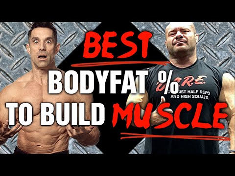 Best Bodyfat % To Gain Muscle?