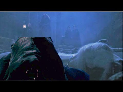 What Happens When You Drink Unicorn Blood?