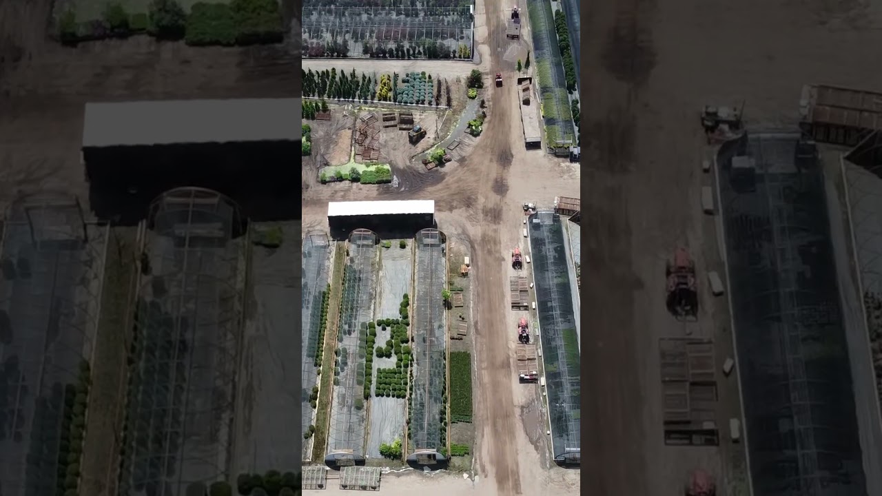 Summer In Cedar Springs - From a Bird's Eye View... #greatlakeslandscapesupply #garden #hibiscus