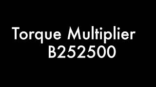 Torque Multiplier B252500