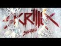 Skrillex The Devils Den (Official Video)