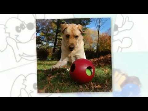 Jolly Pets Teaser Ball with Inside Ball (6 in) - Assorted Video