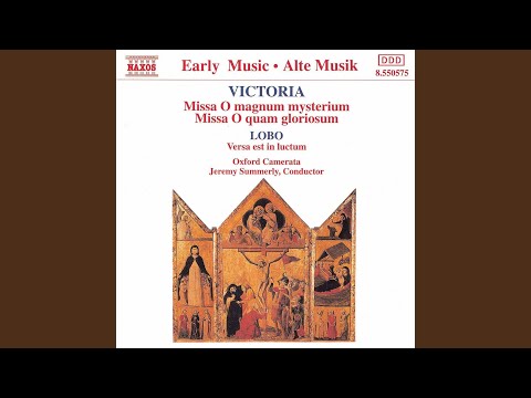 Missa O quam gloriosum: Kyrie