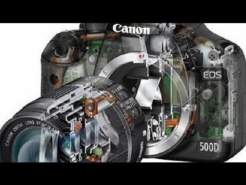 How Does Camera Autofocus Work? : Filmmaking & Camera Tips