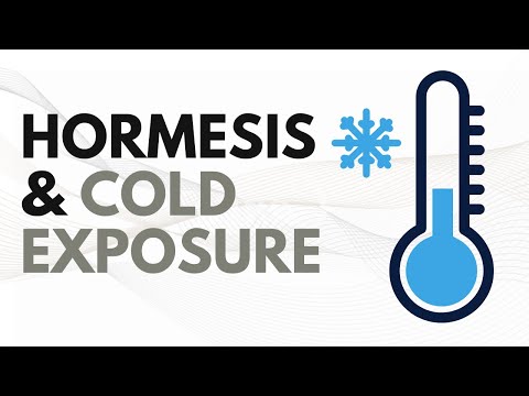 What Is Hormesis & Cold Exposure and How It Works