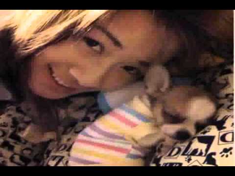 Nothing's gonna change my love for you air supply (lyric) - Nattha