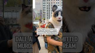 Cat committing murder on live stream