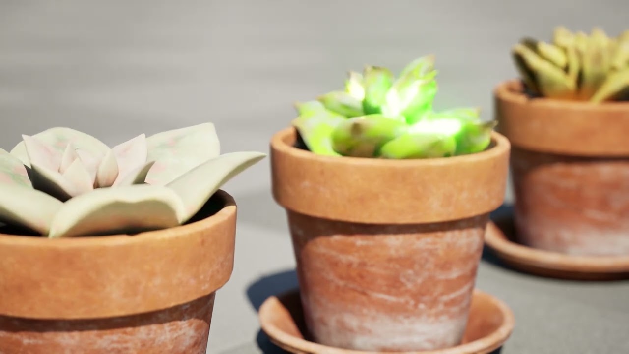Realistische Topfkakteen 3D Modell