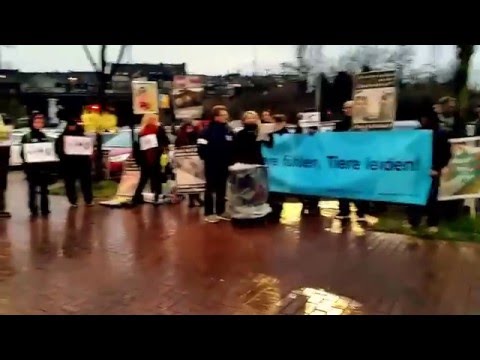 WIESENHOF-PROTEST ATZE SCHRÖDER Düsseldorf 04.03.2016