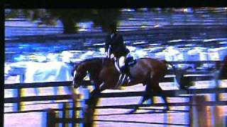 preview picture of video 'First Trip HITS 2009 Amateur-Owner Hunters'