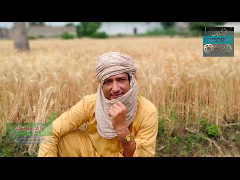 Malakwal Beautiful seneries