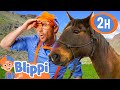 Blipp Visits A Ranch And Learns How To Ride A Horse 2 HOURS OF BLIPPI TOYS