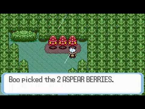 Let's Play Pokemon Ruby Pt. 33, Revisitationing