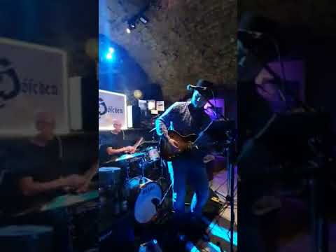 Kingbees Purple Rain - im Höfchen in Alzey 16.10.21