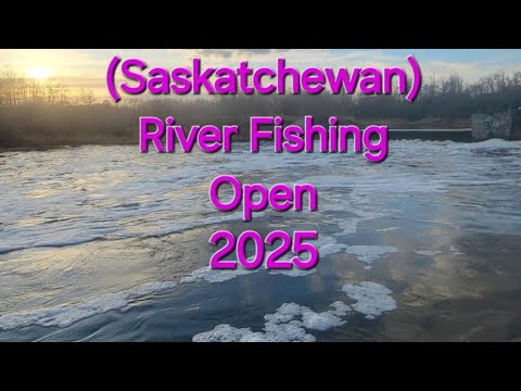 ( Saskatchewan ) River Fishing Open 2025