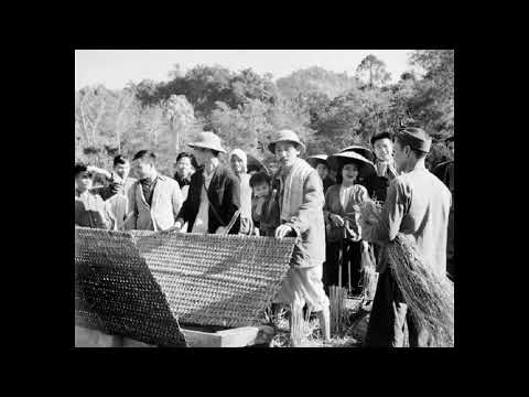 Thể hiện bởi Trang Nhung