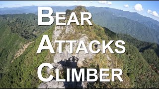 Bärenangriff auf japanischen Kletterer (Video)