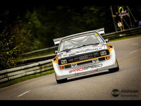 Prospeed Audi Quattro S1 - Nikolay Zlatkov - Bergrennen Mickhausen 2014